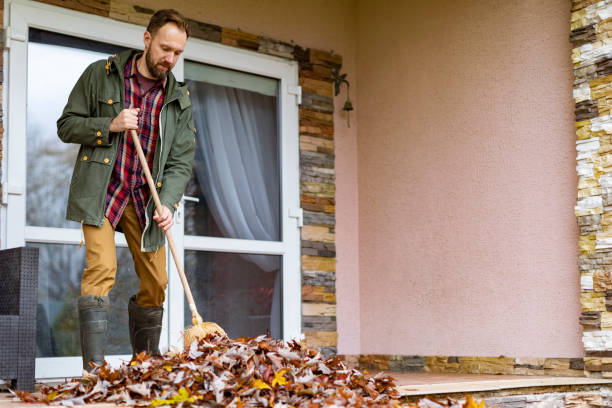 Best Professional Junk Removal  in Walls, MS